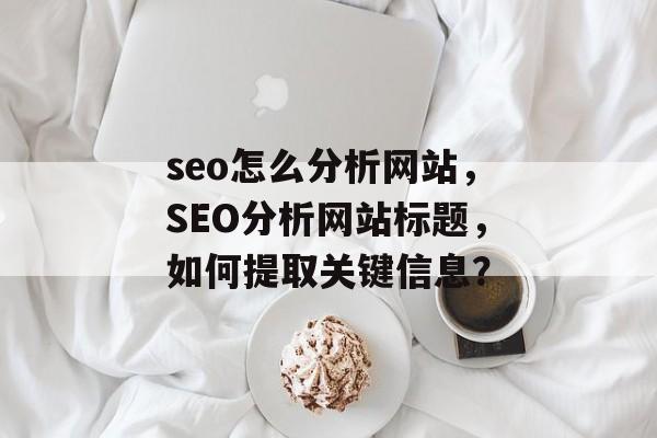 seo怎么分析网站，SEO分析网站标题，如何提取关键信息？