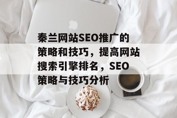 秦兰网站SEO推广的策略和技巧，提高网站搜索引擎排名，SEO策略与技巧分析