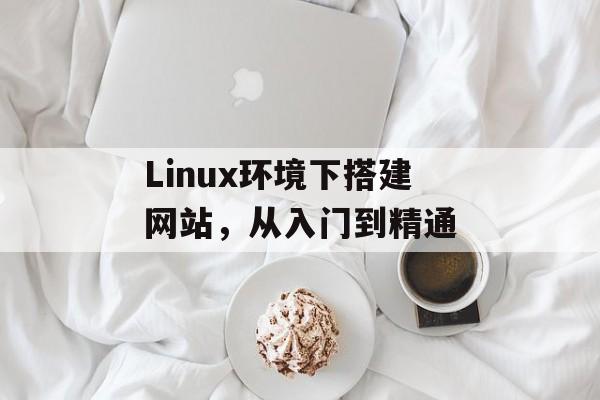 Linux环境下搭建网站,从入门到精通 Linux环境下搭建网站,从入门到精通
