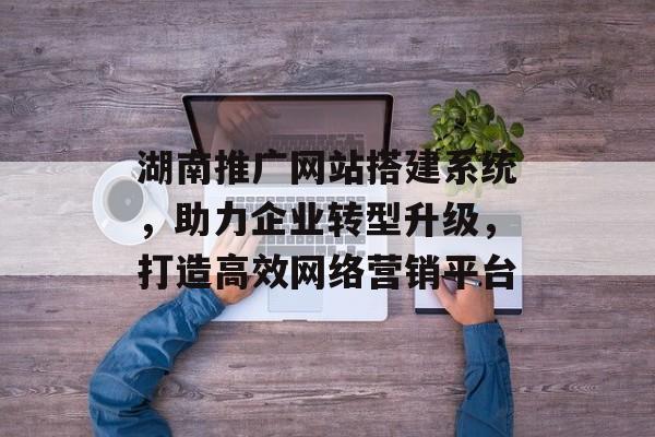 湖南推广网站搭建系统,助力企业转型升级,打造高效网络营销平台 湖南推广网站搭建系统,助力企业转型升级,打造高效网络营销平台