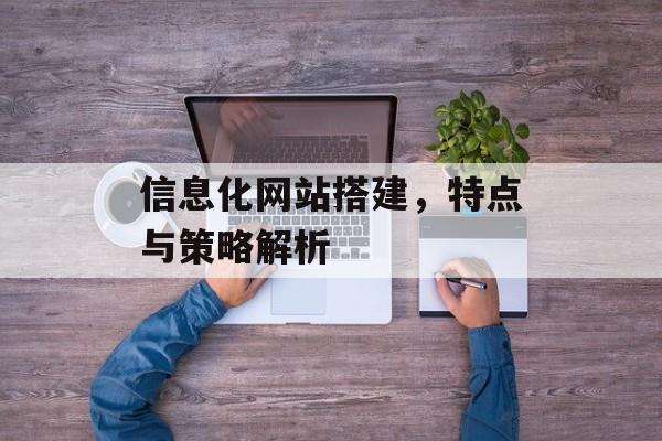 信息化网站搭建，特点与策略解析