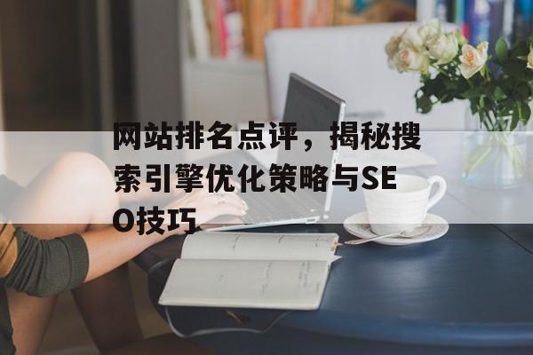 网站排名点评，揭秘搜索引擎优化策略与SEO技巧