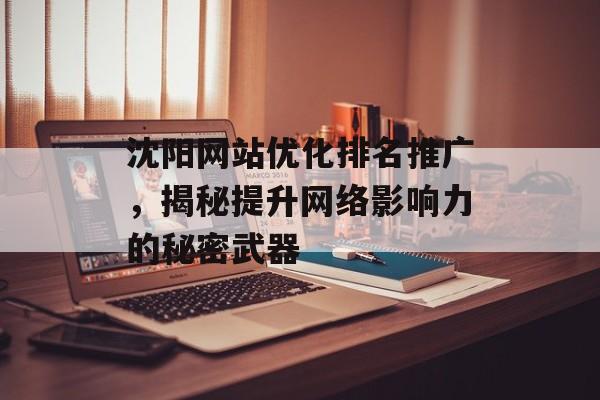 沈阳网站优化排名推广，揭秘提升网络影响力的秘密武器