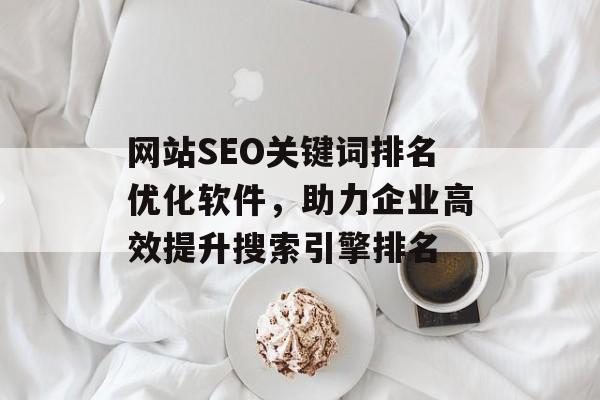 网站SEO关键词排名优化软件,助力企业高效提升搜索引擎排名 网站SEO关键词排名优化软件,助力企业高效提升搜索引擎排名