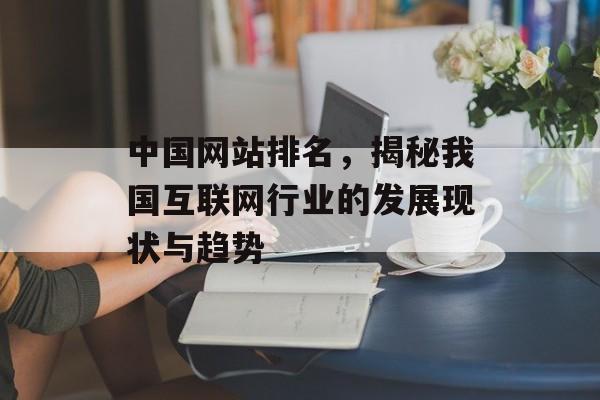 中国网站排名，揭秘我国互联网行业的发展现状与趋势