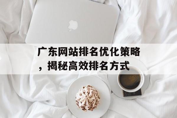 广东网站排名优化策略,揭秘高效排名方式 广东网站排名优化策略,揭秘高效排名方式