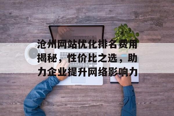 沧州网站优化排名费用揭秘,性价比之选,助力企业提升网络影响力 沧州网站优化排名费用揭秘,性价比之选,助力企业提升网络影响力