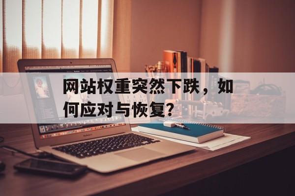 网站权重突然下跌，如何应对与恢复？