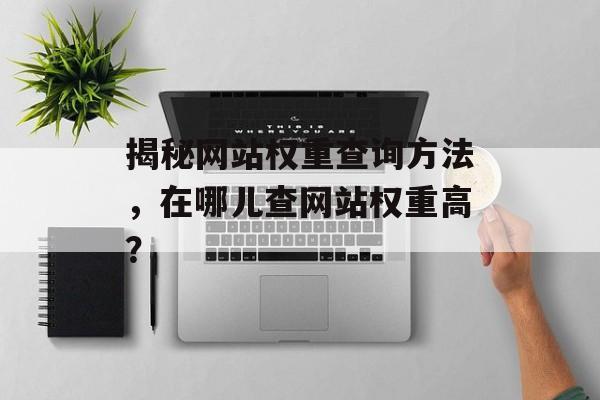 揭秘网站权重查询方法，在哪儿查网站权重高？