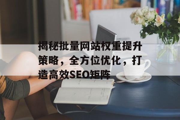 揭秘批量网站权重提升策略,全方位优化,打造高效SEO矩阵 揭秘批量网站权重提升策略,全方位优化,打造高效SEO矩阵