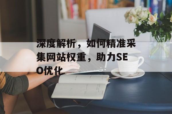 深度解析,如何精准采集网站权重,助力SEO优化 深度解析,如何精准采集网站权重,助力SEO优化
