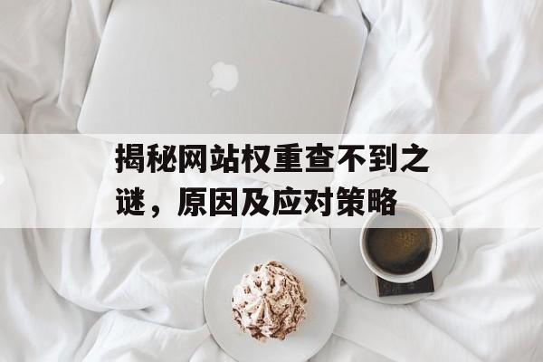 揭秘网站权重查不到之谜,原因及应对策略 揭秘网站权重查不到之谜,原因及应对策略
