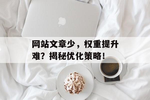 网站文章少,权重提升难?揭秘优化策略! 网站文章少,权重提升难?揭秘优化策略!