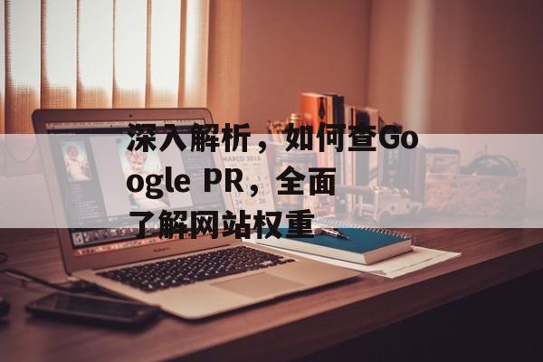 深入解析，如何查Google PR，全面了解网站权重