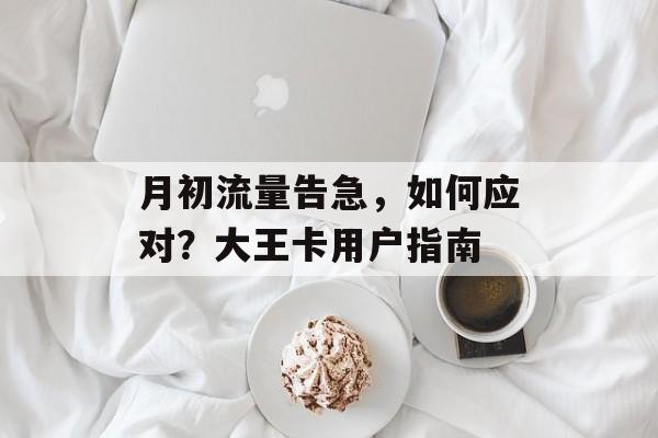 月初流量告急,如何应对?大王卡用户指南 月初流量告急,如何应对?大王卡用户指南