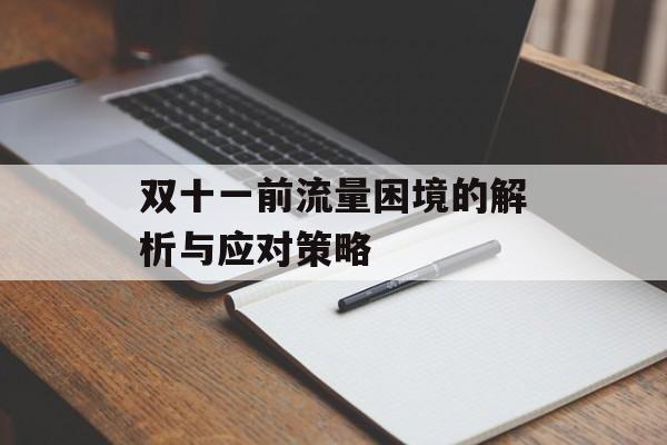 双十一前流量困境的解析与应对策略 双十一前流量困境的解析与应对策略