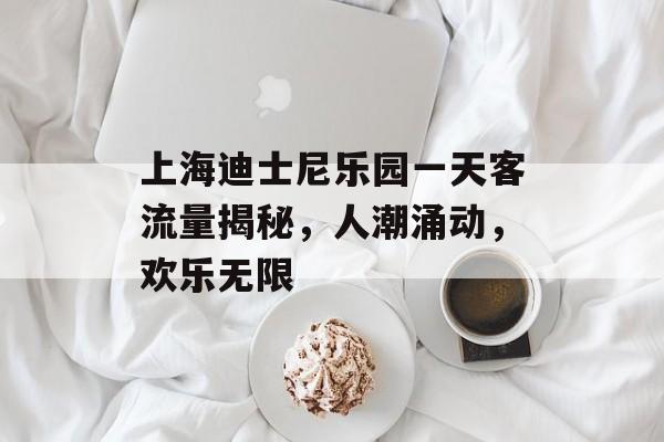 上海迪士尼乐园一天客流量揭秘,人潮涌动,欢乐无限 上海迪士尼乐园一天客流量揭秘,人潮涌动,欢乐无限