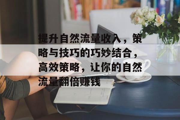 提升自然流量收入,策略与技巧的巧妙结合,高效策略,让你的自然流量翻倍赚钱 提升自然流量收入,策略与技巧的巧妙结合,高效策略,让你的自然流量翻倍赚钱