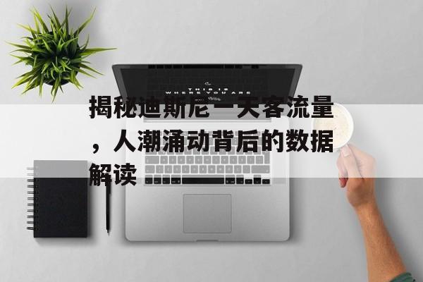 揭秘迪斯尼一天客流量,人潮涌动背后的数据解读 揭秘迪斯尼一天客流量,人潮涌动背后的数据解读