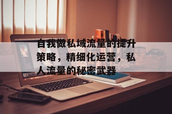 自我做私域流量的提升策略,精细化运营,私人流量的秘密武器 自我做私域流量的提升策略,精细化运营,私人流量的秘密武器