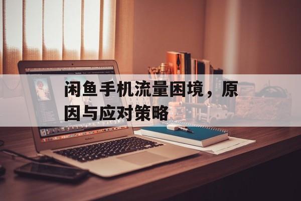 闲鱼手机流量困境,原因与应对策略 闲鱼手机流量困境,原因与应对策略
