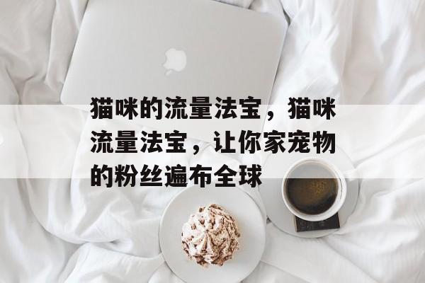 猫咪的流量法宝,猫咪流量法宝,让你家宠物的粉丝遍布全球 猫咪的流量法宝,猫咪流量法宝,让你家宠物的粉丝遍布全球