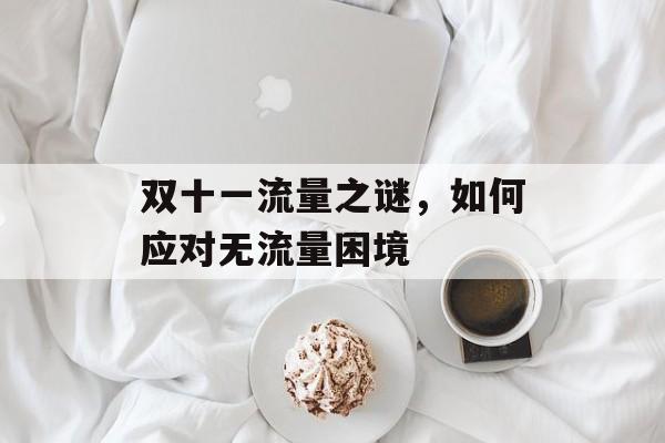 双十一流量之谜,如何应对无流量困境 双十一流量之谜,如何应对无流量困境