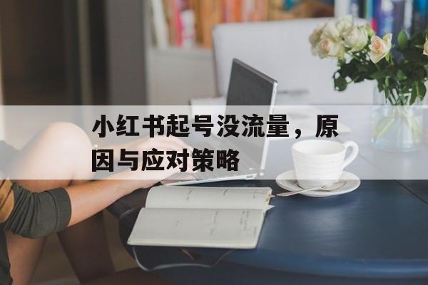 小红书起号没流量,原因与应对策略 小红书起号没流量,原因与应对策略