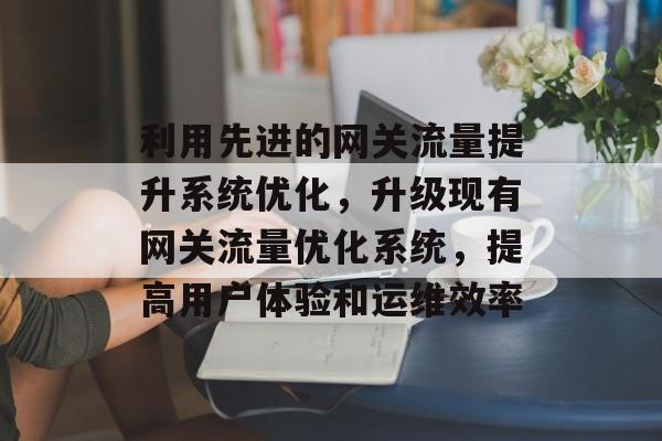 利用先进的网关流量提升系统优化,升级现有网关流量优化系统,提高用户体验和运维效率 利用先进的网关流量提升系统优化,升级现有网关流量优化系统,提高用户体验和运维效率