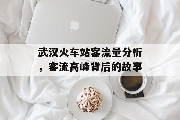 武汉火车站客流量分析,客流高峰背后的故事 武汉火车站客流量分析,客流高峰背后的故事