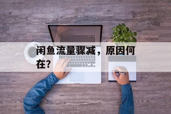 闲鱼流量骤减,原因何在? 闲鱼流量骤减,原因何在?