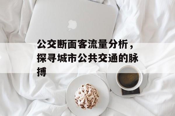 公交断面客流量分析,探寻城市公共交通的脉搏 公交断面客流量分析,探寻城市公共交通的脉搏