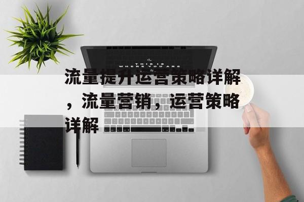 流量提升运营策略详解,流量营销,运营策略详解 流量提升运营策略详解,流量营销,运营策略详解