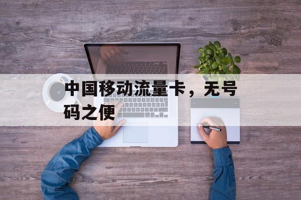 中国移动流量卡,无号码之便 中国移动流量卡,无号码之便