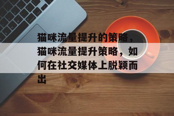 猫咪流量提升的策略,猫咪流量提升策略,如何在社交媒体上脱颖而出 猫咪流量提升的策略,猫咪流量提升策略,如何在社交媒体上脱颖而出