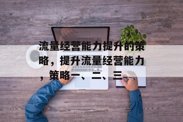 流量经营能力提升的策略,提升流量经营能力,策略一、二、三 流量经营能力提升的策略,提升流量经营能力,策略一、二、三