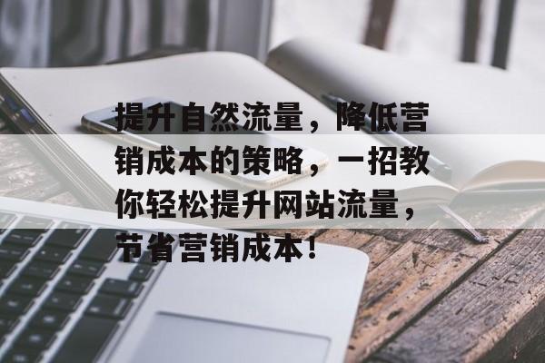 提升自然流量，降低营销成本的策略，一招教你轻松提升网站流量，节省营销成本！