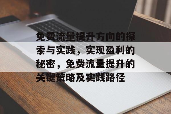 免费流量提升方向的探索与实践,实现盈利的秘密,免费流量提升的关键策略及实践路径 免费流量提升方向的探索与实践,实现盈利的秘密,免费流量提升的关键策略及实践路径