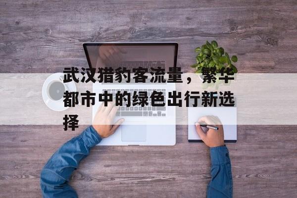 武汉猎豹客流量,繁华都市中的绿色出行新选择 武汉猎豹客流量,繁华都市中的绿色出行新选择