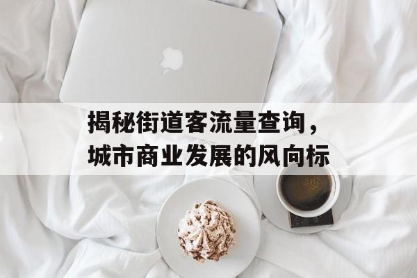 揭秘街道客流量查询,城市商业发展的风向标 揭秘街道客流量查询,城市商业发展的风向标