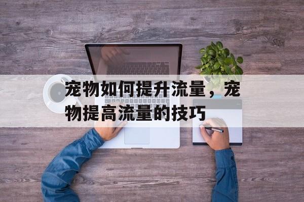宠物如何提升流量,宠物提高流量的技巧 宠物如何提升流量,宠物提高流量的技巧