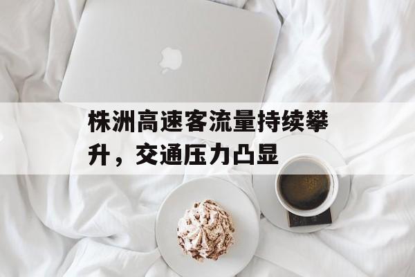 株洲高速客流量持续攀升,交通压力凸显 株洲高速客流量持续攀升,交通压力凸显