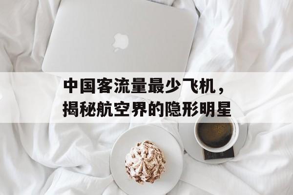 中国客流量最少飞机,揭秘航空界的隐形明星 中国客流量最少飞机,揭秘航空界的隐形明星