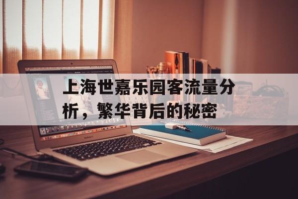 上海世嘉乐园客流量分析,繁华背后的秘密 上海世嘉乐园客流量分析,繁华背后的秘密