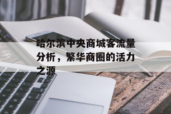 哈尔滨中央商城客流量分析,繁华商圈的活力之源 哈尔滨中央商城客流量分析,繁华商圈的活力之源