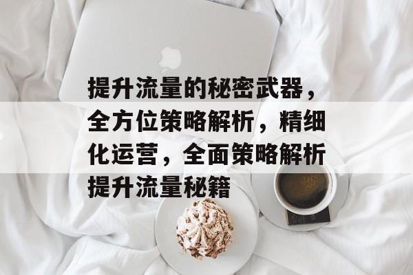 提升流量的秘密武器，全方位策略解析，精细化运营，全面策略解析提升流量秘籍