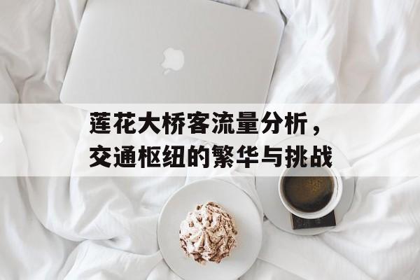 莲花大桥客流量分析,交通枢纽的繁华与挑战 莲花大桥客流量分析,交通枢纽的繁华与挑战