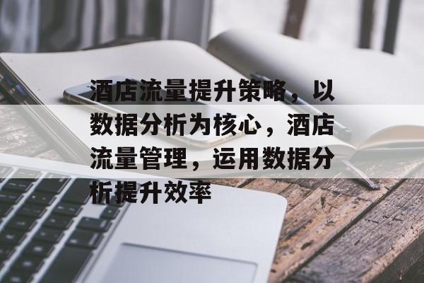 酒店流量提升策略,以数据分析为核心,酒店流量管理,运用数据分析提升效率 酒店流量提升策略,以数据分析为核心,酒店流量管理,运用数据分析提升效率