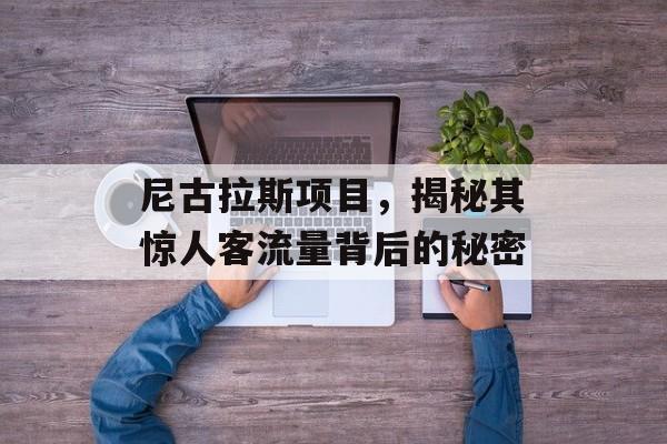 尼古拉斯项目,揭秘其惊人客流量背后的秘密 尼古拉斯项目,揭秘其惊人客流量背后的秘密