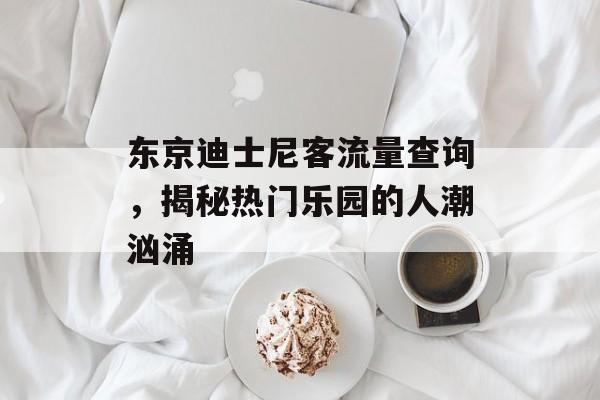 东京迪士尼客流量查询,揭秘热门乐园的人潮汹涌 东京迪士尼客流量查询,揭秘热门乐园的人潮汹涌